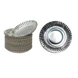 Disposable Plate 7 inch Round Silver Plates  (Pack of 30)